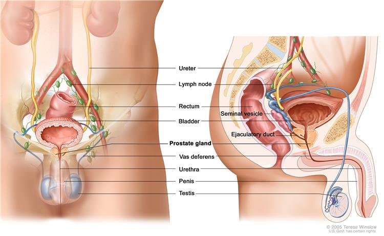 Prostata húgycsövön keresztüli bemetszése - Budai Egészségközpont